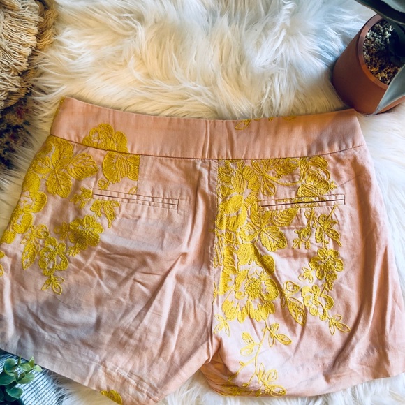 🌸🌸 J Crew Embroidered Cotton Shorts💋 - Picture 7 of 8